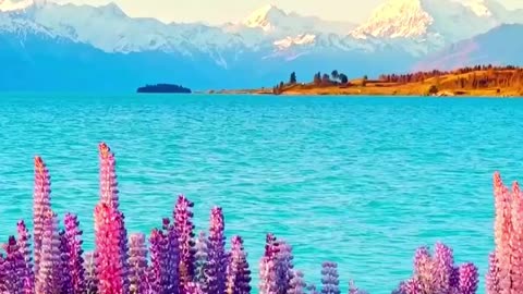 Lake Pukaki, New Zealand