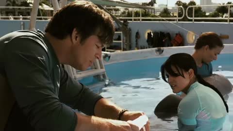 Dolphin Tale - Trailer_Cut