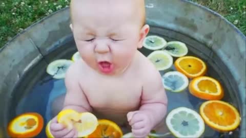 Babies eating Lemon