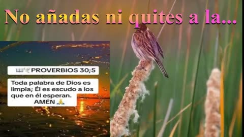 NO AÑADAS NI QUITES A LA PALABRA DE DIOS_ Devocional