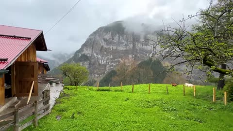 Beautiful rain walking tour in Gimmelwald A Swiss village.