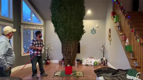 better than the NY Christmas tree in Time Square!!!.mp4