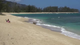 Waialua, HI — Makaleha Beach Park