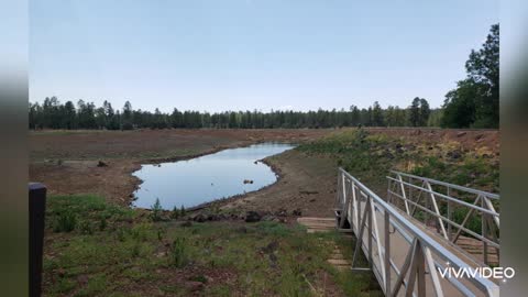 Drive thru Woodland lake, Pinetop AZ