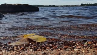 Clear lake water closeup