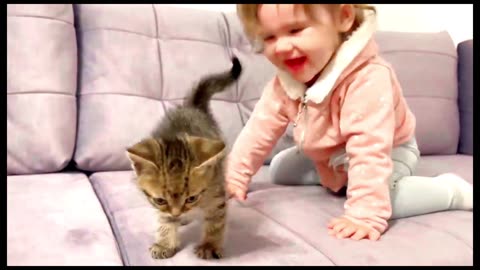 CCute baby funny Cat videos