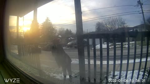 Passer by Steals a Package Out of the Mail Box While Walking by a House