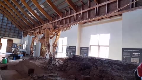 Dinosaur discovery|Malawisaurus|Karonga museum