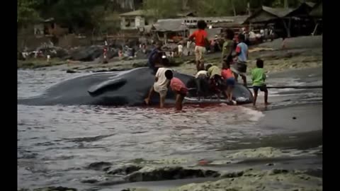 #Mer #Pêche #Rivière #Poisson Les Hommes Les Plus Forts Chassent Et Tuent Contre Le Gros Cachalot !