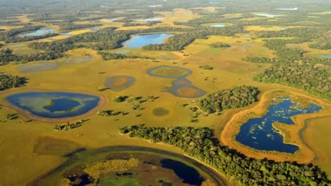 Landscape of Exception-Pantanal, Brazil