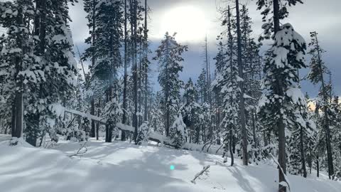 Climbing Above Tree Line – Central Oregon – Vista Butte Sno-Park – 4K