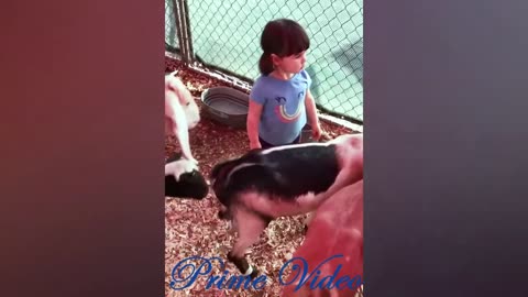 Kids and Animals Funny Videos