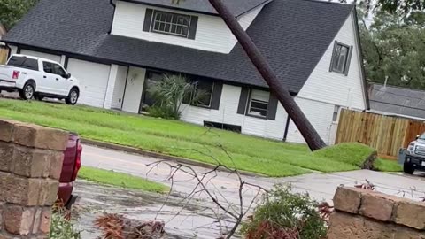 Uprooted Tree Lands on Pickup