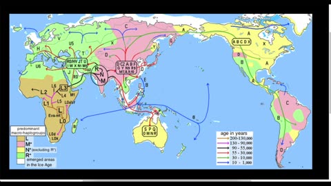 Sun Cycles, Ice Ages, Volcanoes, Migration Patterns, DNA, Horses