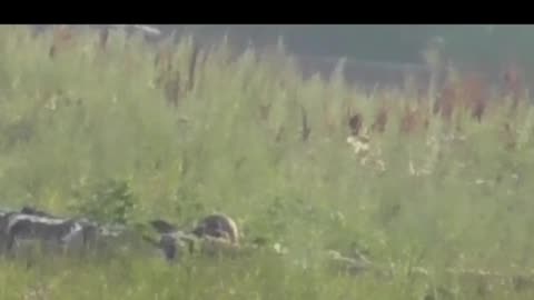 Russian sniper