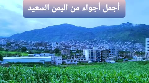 Watch the most beautiful views of Happy Yemen green land