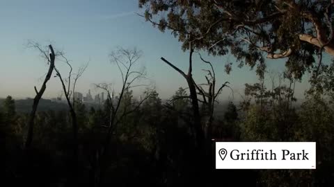 Explore Los Angeles By Following This Dancer’s Moves _ Welcome to My World _ Insider Travel