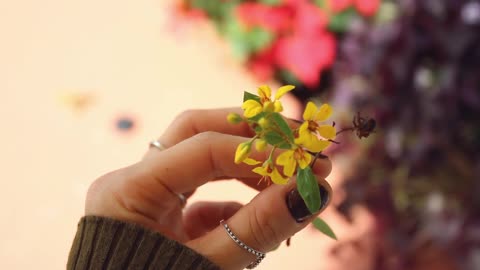 A Woman Is Holding A Plant Stem