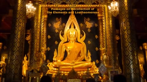 Paritta Chanting - Dhatupatikulapaccavekkhanpatha