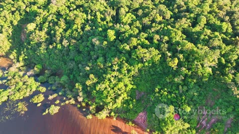 The Amazon River: Life Along the Mighty Waterway