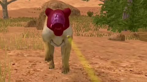 I captured Hyena in cage and hunted crocodile awesome hunting game