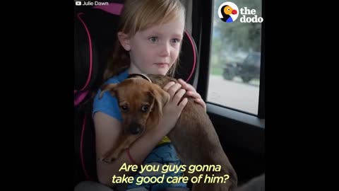 Girls REALLY Want To Adopt This Puppy | The Dodo