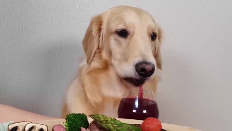 My Dog Eating Show Steak& Wine Asparagus Mukbang