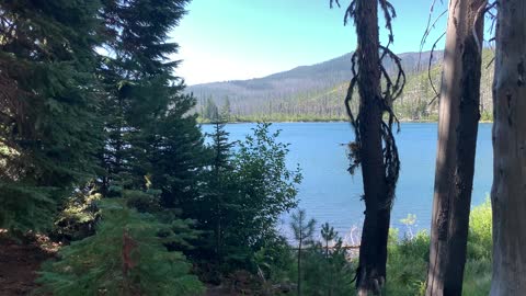 Central Oregon - Mount Jefferson Wilderness - Admiring the Sunny Lake from the Shade