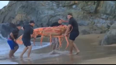 His team Catch a big size crab😮😮😮 rumble awesome video