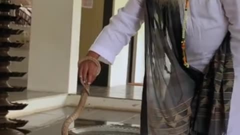 Sadguru # handle a # cobra ! Short video