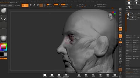 Zbrush fine to pore portrait 2