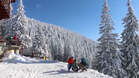 Winter in Poiana Brasov