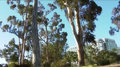 County and city crews begin cleanup after fierce Santa Ana winds