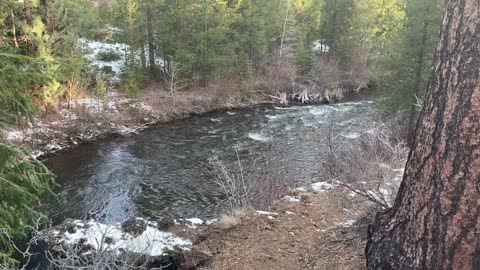 Overlooking Beautiful Whychus Creek from Deschutes National Forest – Central Oregon