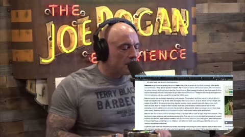 JRE: Is Bigfoot REAL?!