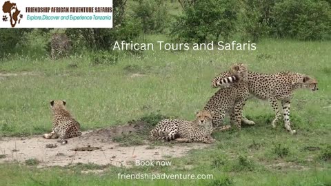 African Tours and Safaris