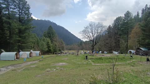 Sharan Forest KPK