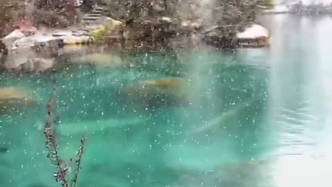 the first snow on a clear river