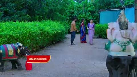 Manasichi chudu serial || New promo 25/09/21