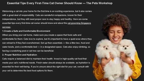 Essential Tips Every First-Time Cat Owner Should Know — The Pets Workshop