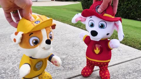 Paw Patrol ¡Ve a nadar en un día caluroso y aprende sobre el dinero y la responsabilidad!