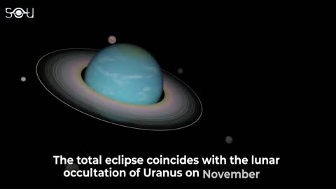 Year's Longest Lunar Eclipse Is Coming! Don't Miss The November 2022 Total Lunar Eclipse