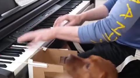 That's Woofgang Amadeus Mozart