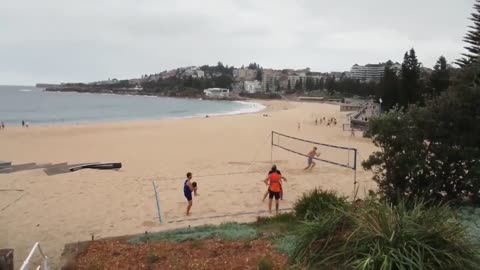 Thoughts on troublesome tree stories in MSM from Coogee Beach