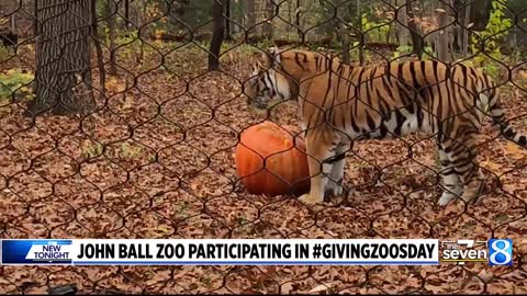 John Ball Zoo participating in Giving Zoosday