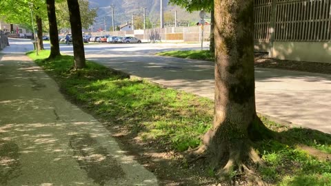 Walking in Golling, Austria｜May 2023｜Shorts #004