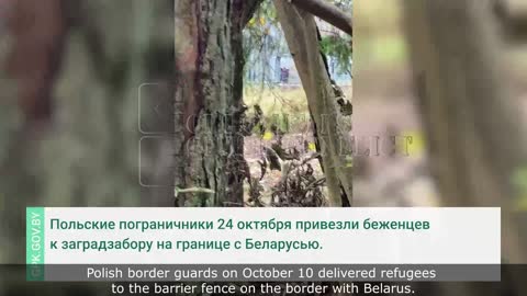 Polish border guards wanted to expel refugees to Belarus through the gate for animal migration