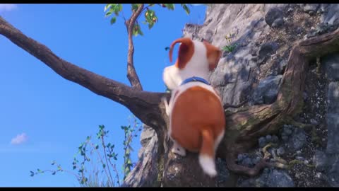 The Secret Life of Pets 2 - Max Saves Cotton _ Fandango Family