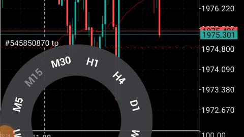 Forex trading live profit