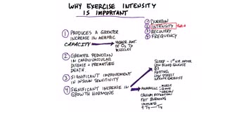 Why Exercise Intensity is Vital to Your Health